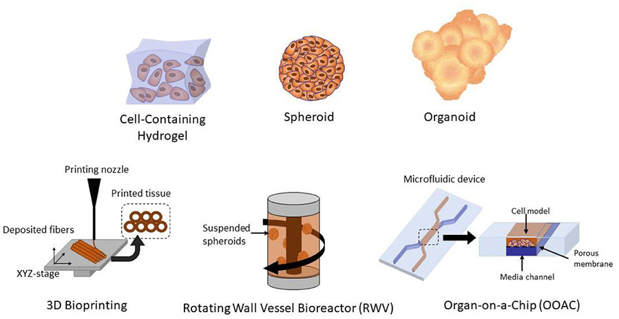 Figure 2: Diverse Techniques for 3D Cell Culture in Tissue Modeling (OA Literature)